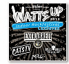 Watts Up Indoor Festival 2013